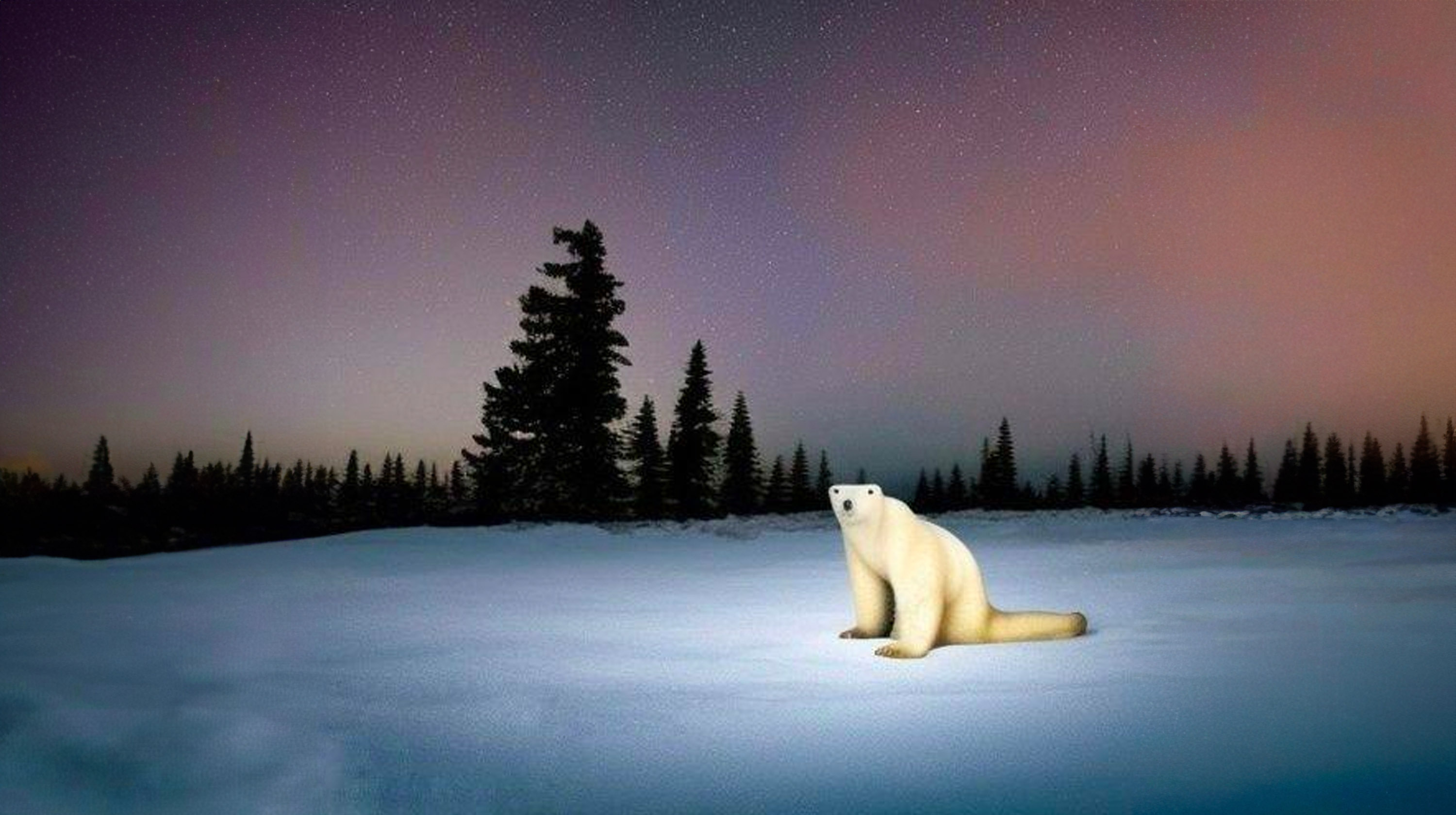What s The Polar Bear 2026 Meme The Creepypasta TikTok Trend And 