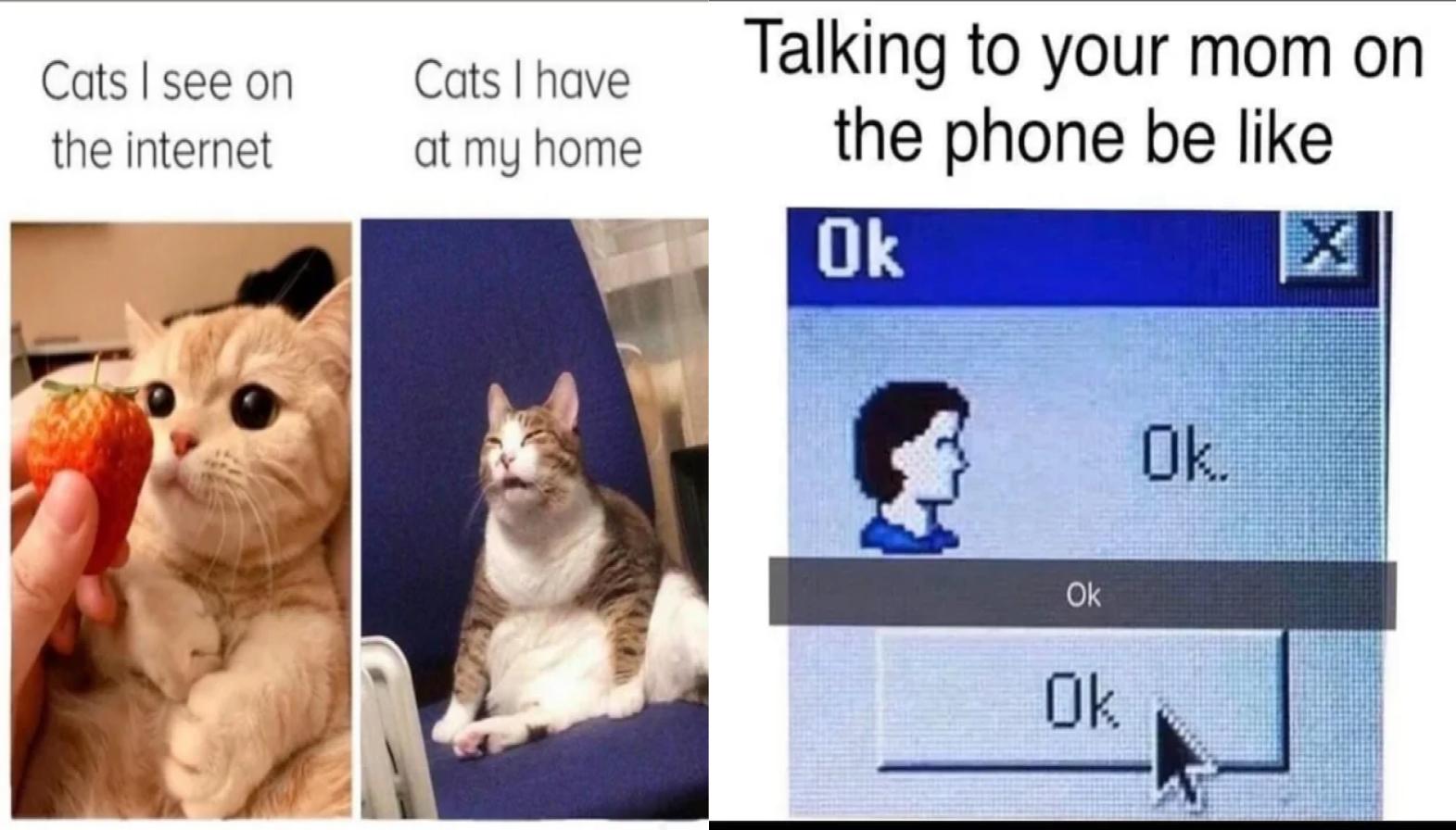 25 Clean Memes That You Can Bring Home To Your Parents Know Your Meme