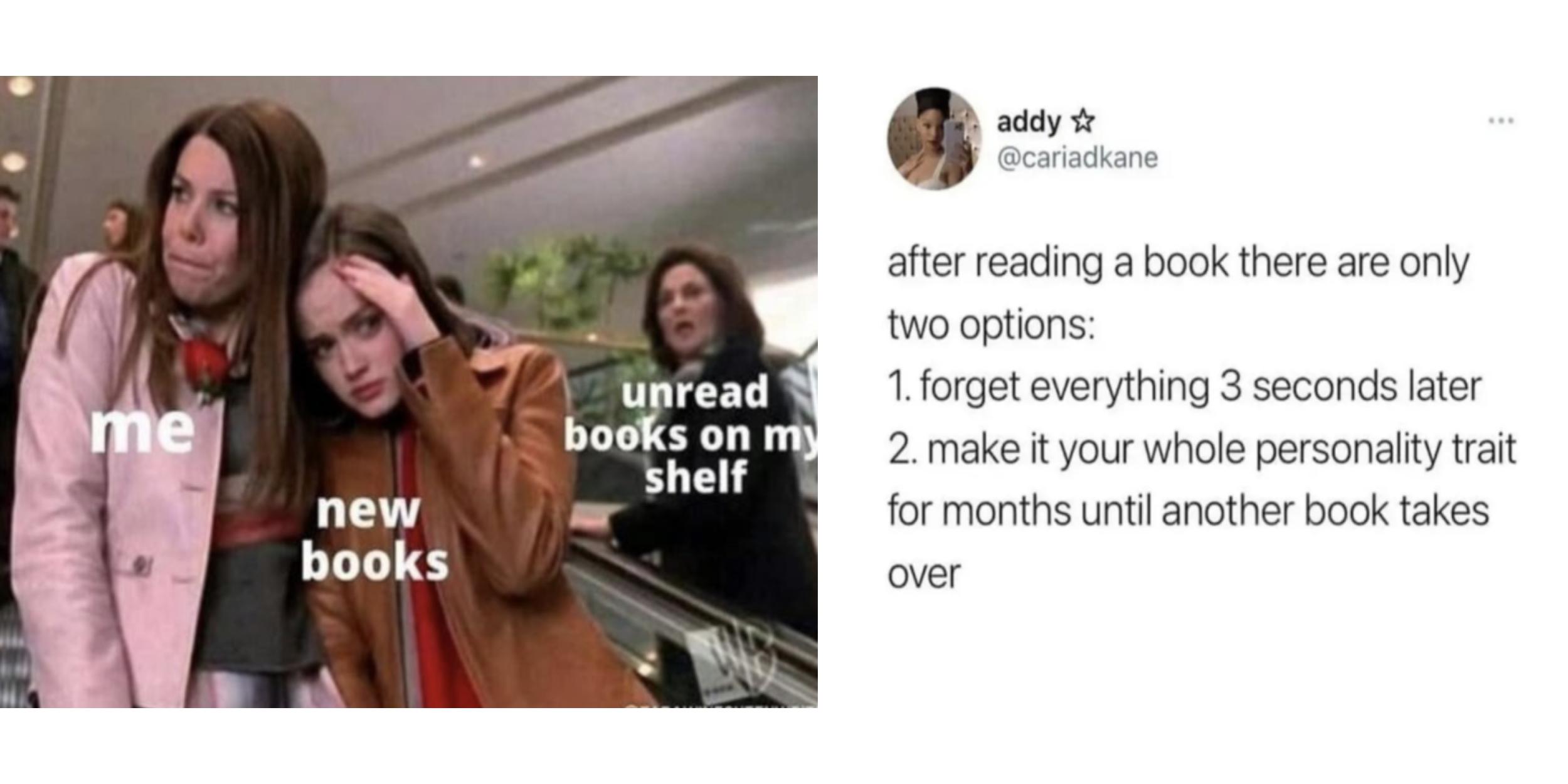 15 Book-Themed Memes For The Literature Lovers In Your Life | Know Your ...