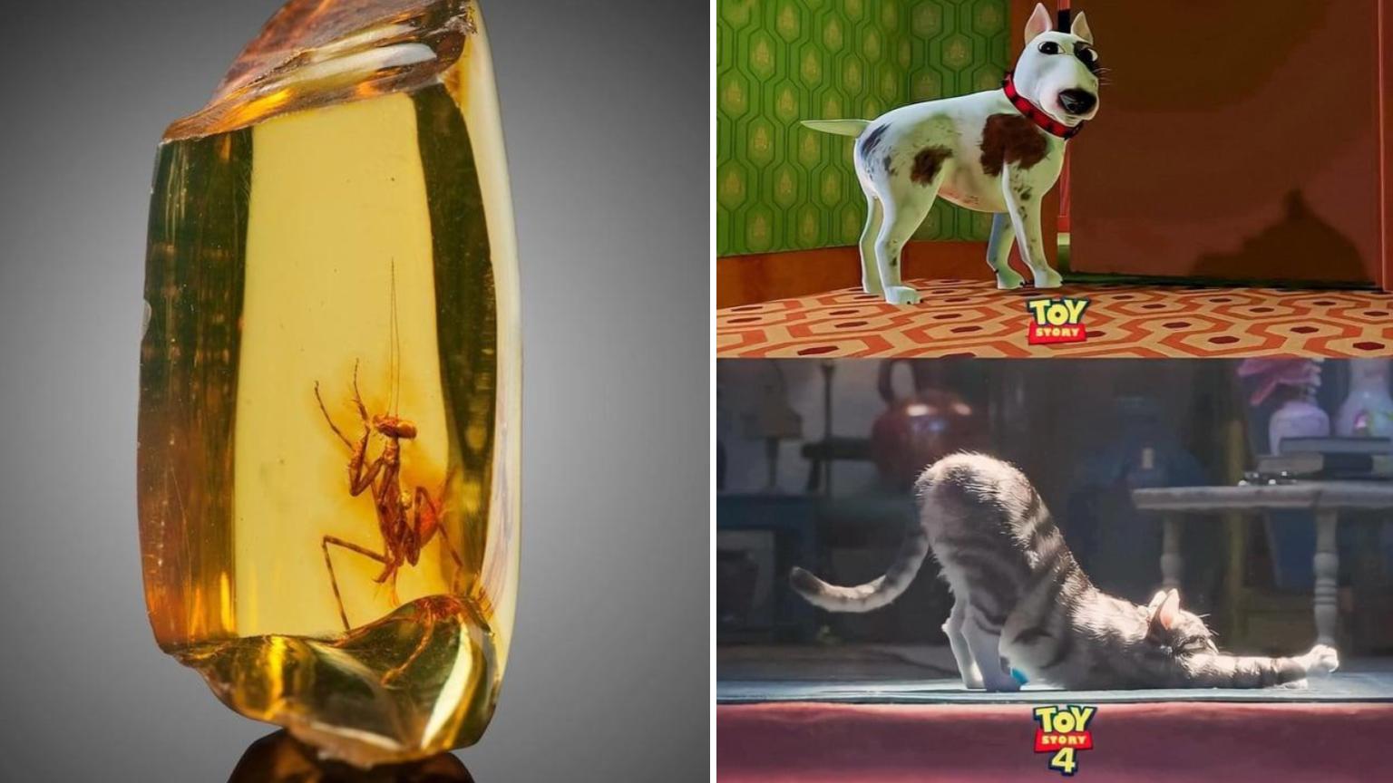 22 Super Interesting Images You've Never Seen Before | Know Your Meme