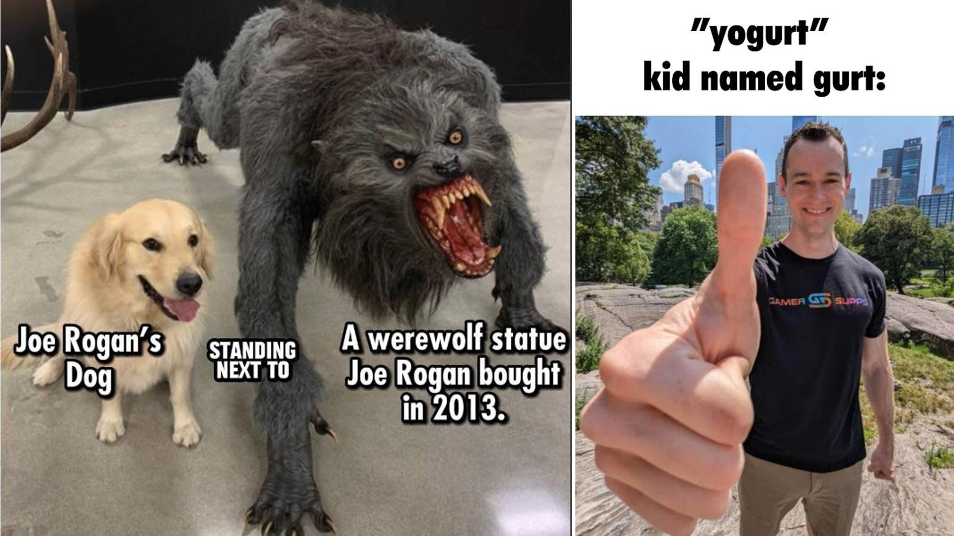 15 Anti-Memes That Are The Total Opposite Of A Meme | Know Your Meme