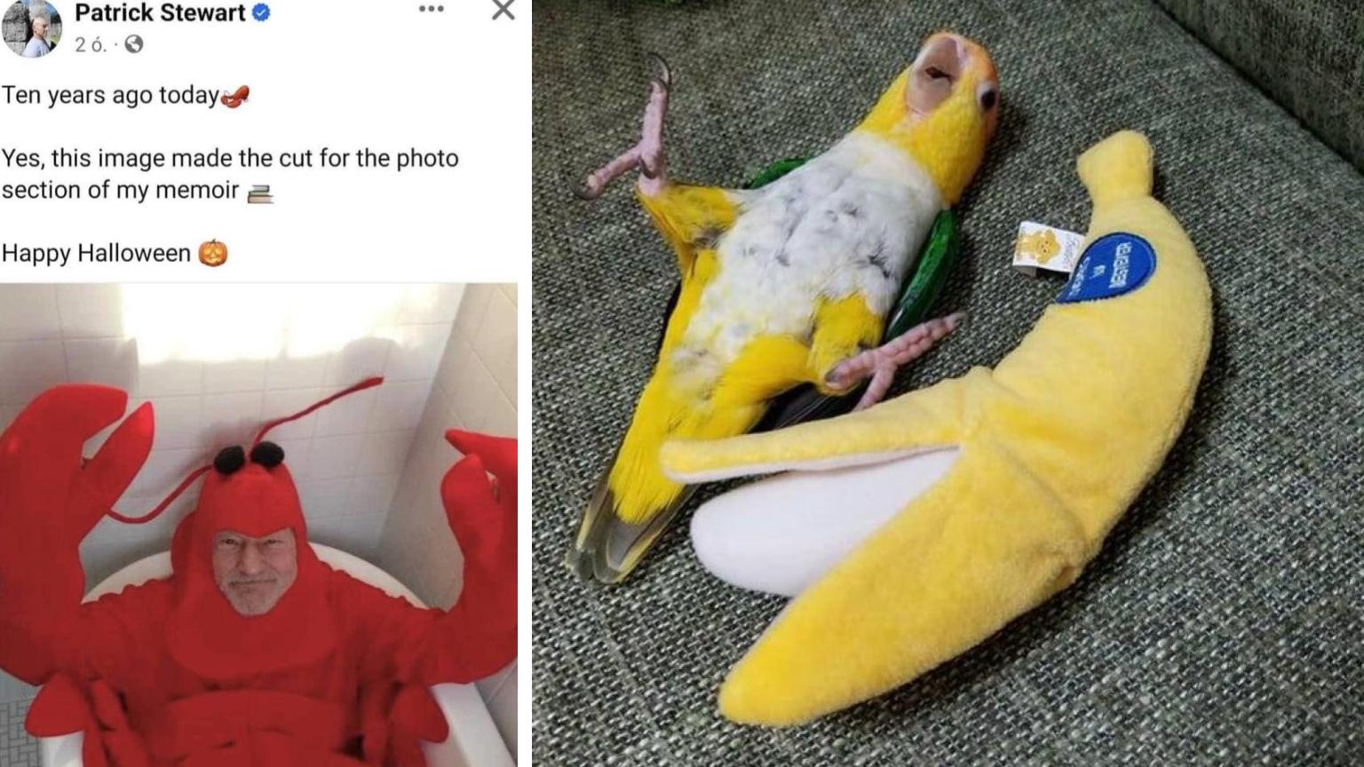 25 Blessed Images To Cure The MidWeek Blues Know Your Meme