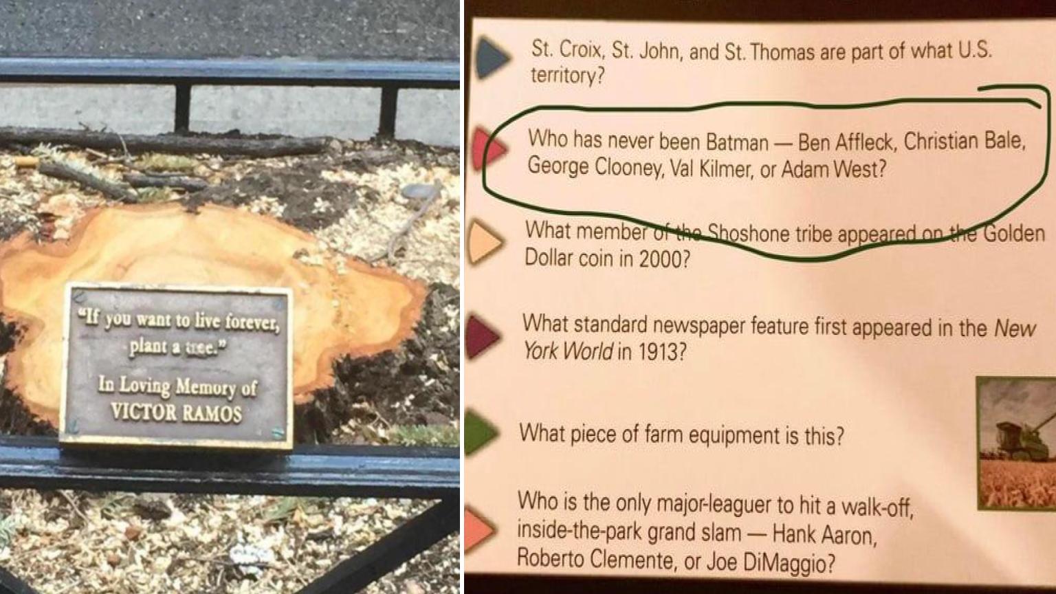 19 Things That Aged Like Spoiled Milk Instead Of Fine Wine | Know Your Meme