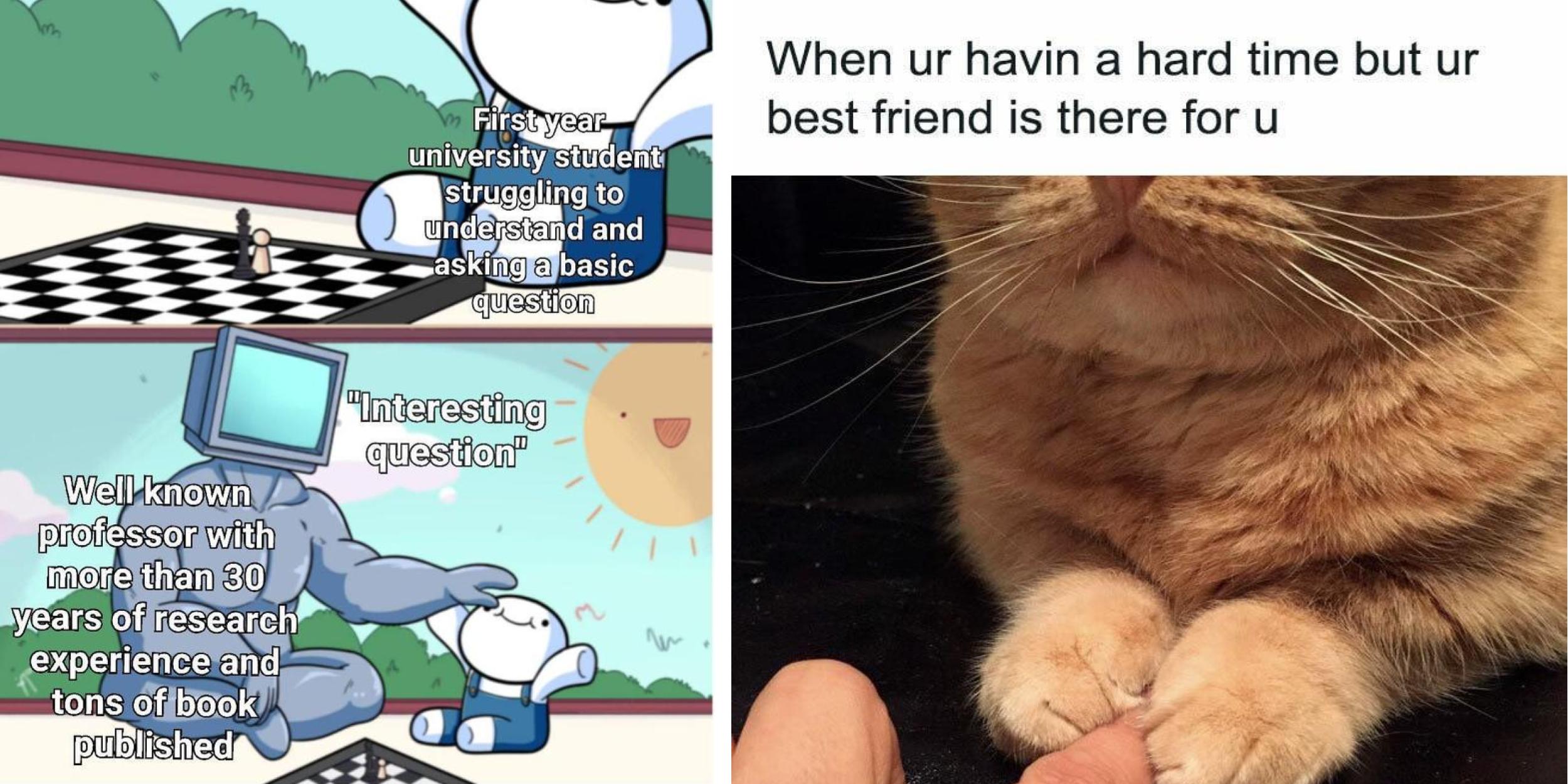 25 Wholesome Memes For Spring | Know Your Meme