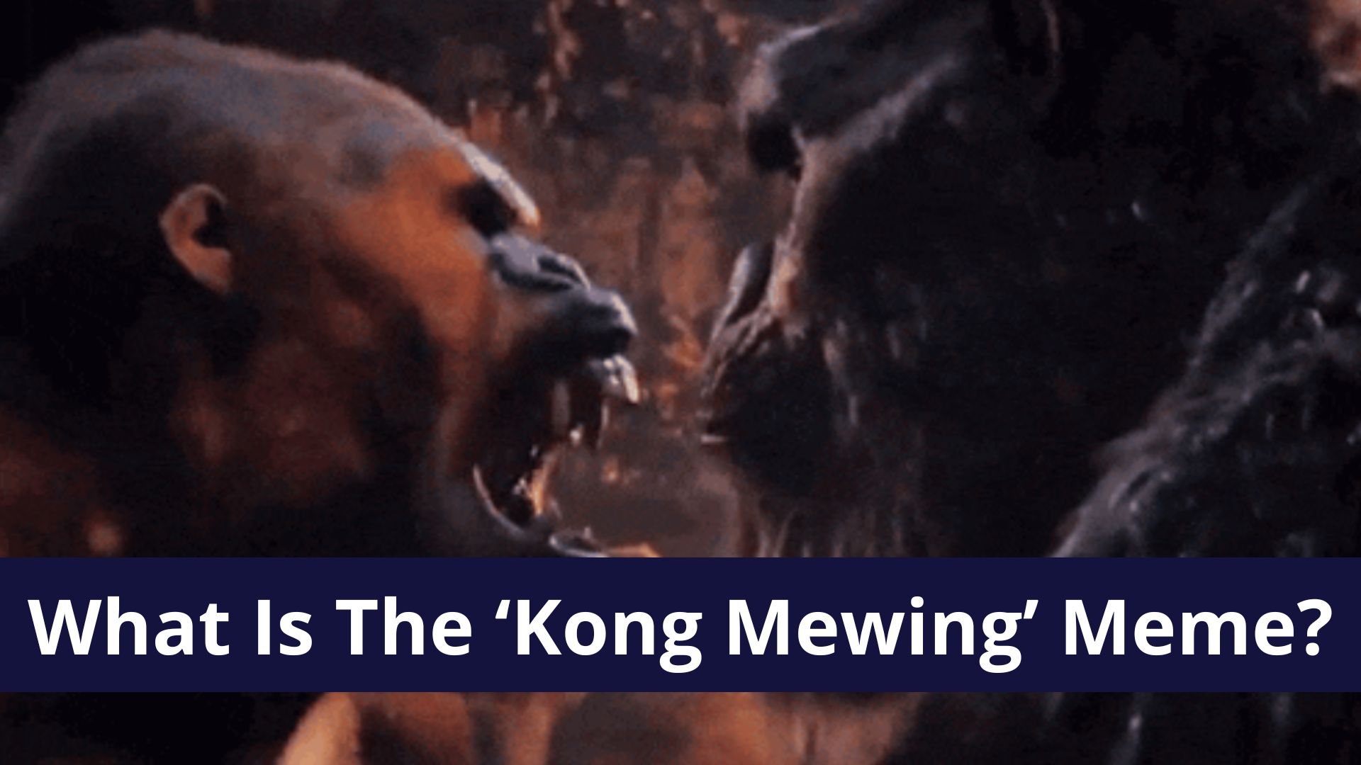 What's The 'King Kong Punching A Gorilla GIF'? Twitter's Obsession With