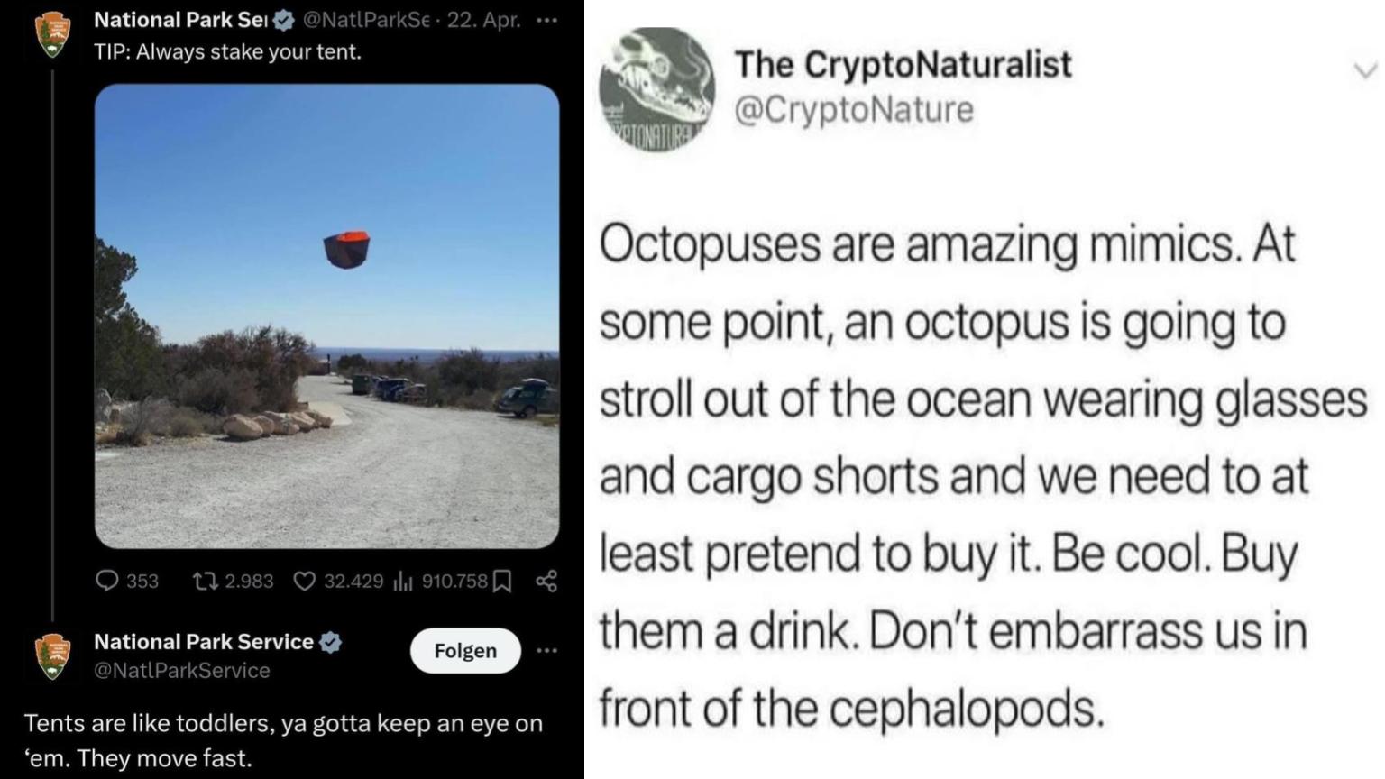 25 Unhinged Sentences Showcasing Some Suspiciously Specific Scenarios ...