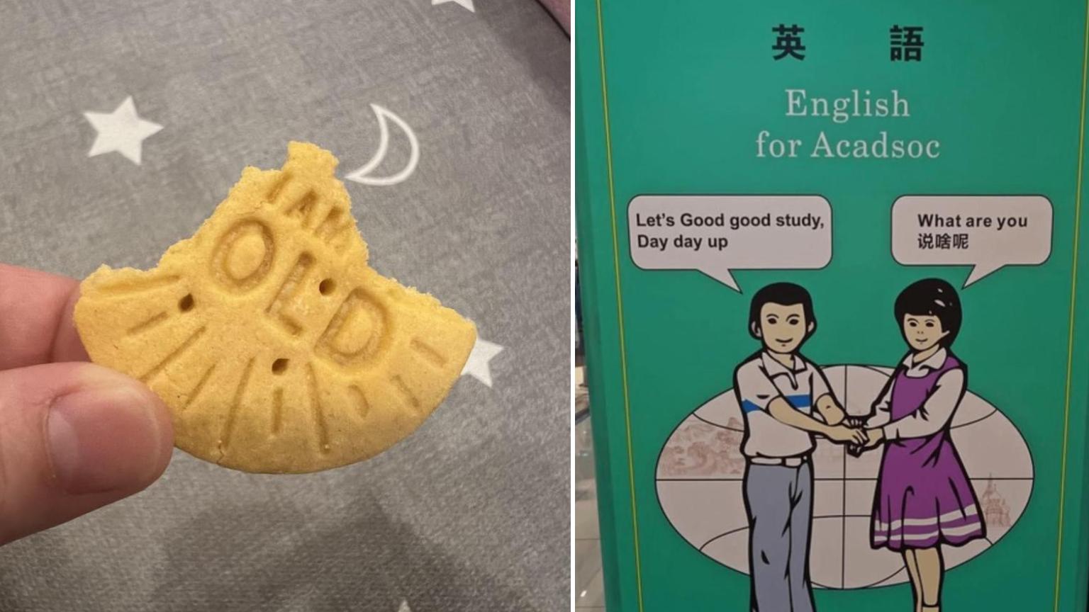 15 Instances Of Hilarious And Unintentional Comedy | Know Your Meme