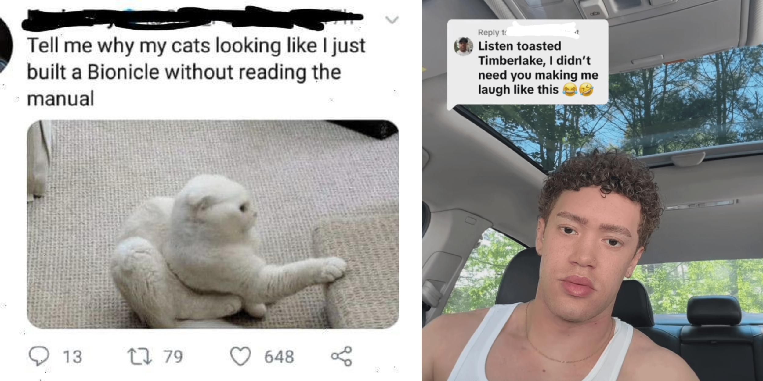 25 Unusually Rare Insults Knocking People Out | Know Your Meme