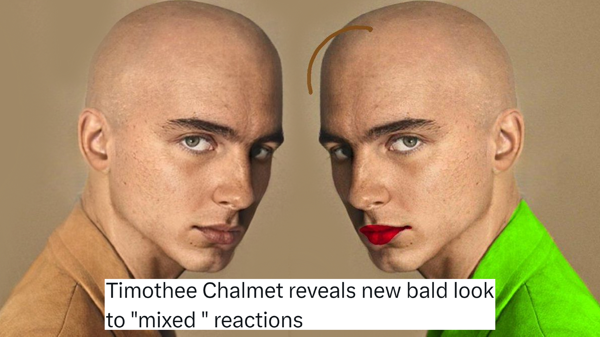 Did Timothée Chalamet Really Go Bald? The Viral Hoax-Turned-Meme ...