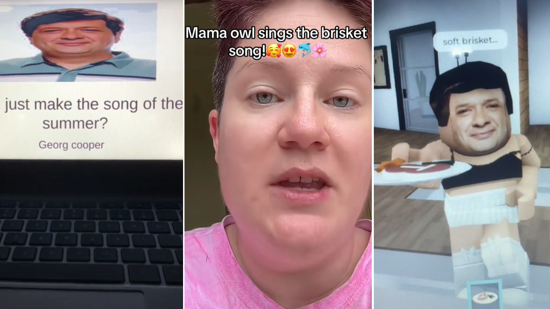What Is The 'Soft Brisket' Song And How Does It Relate To 'Mama Owl?' TikTok's Viral