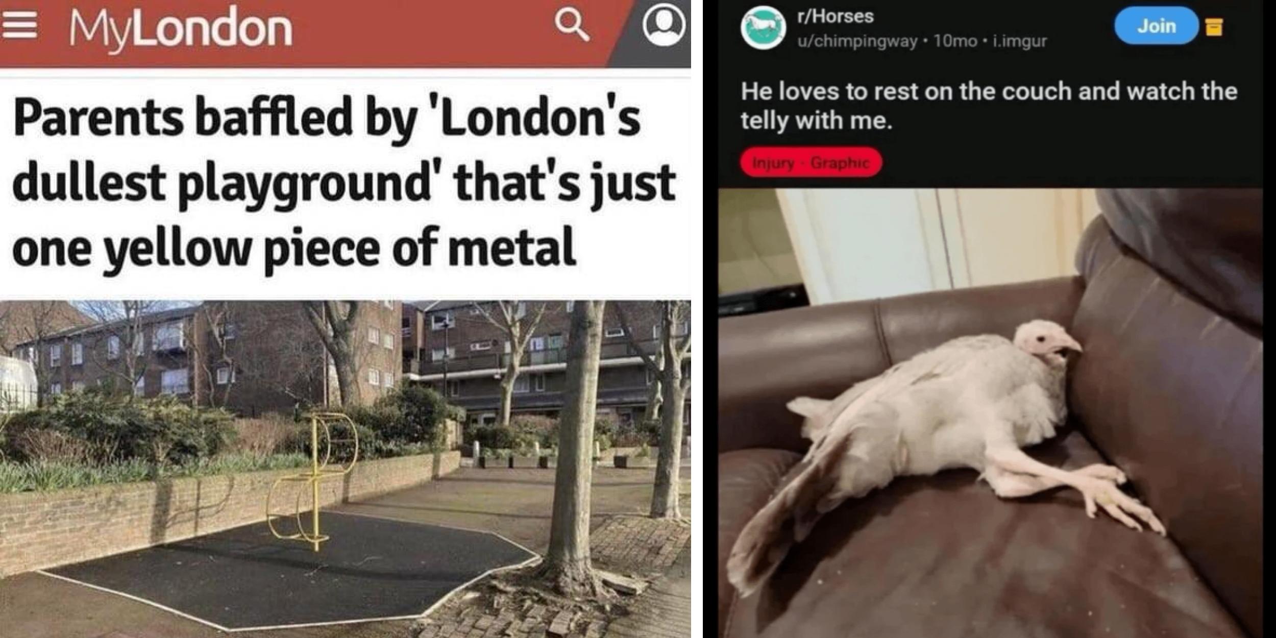 27 Unfunny Posts That Are Actually Comedy Gold | Know Your Meme
