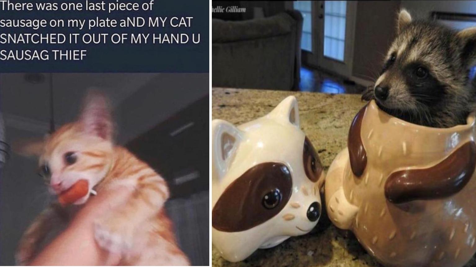 23 Blessed Images To Sanctify Your Scrolling | Know Your Meme