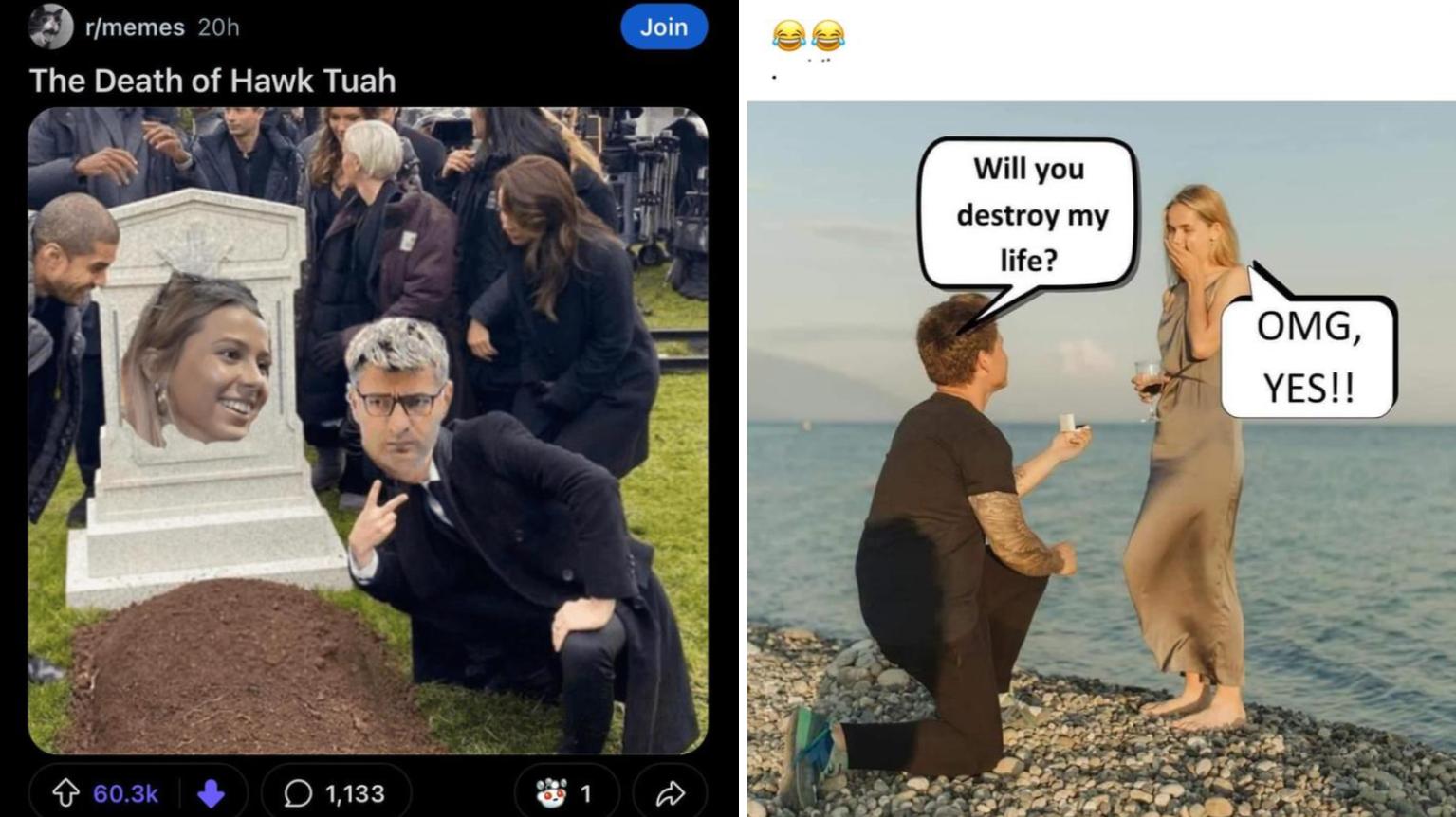 25 Deceased Memes From The Comedy Cemetery | Know Your Meme