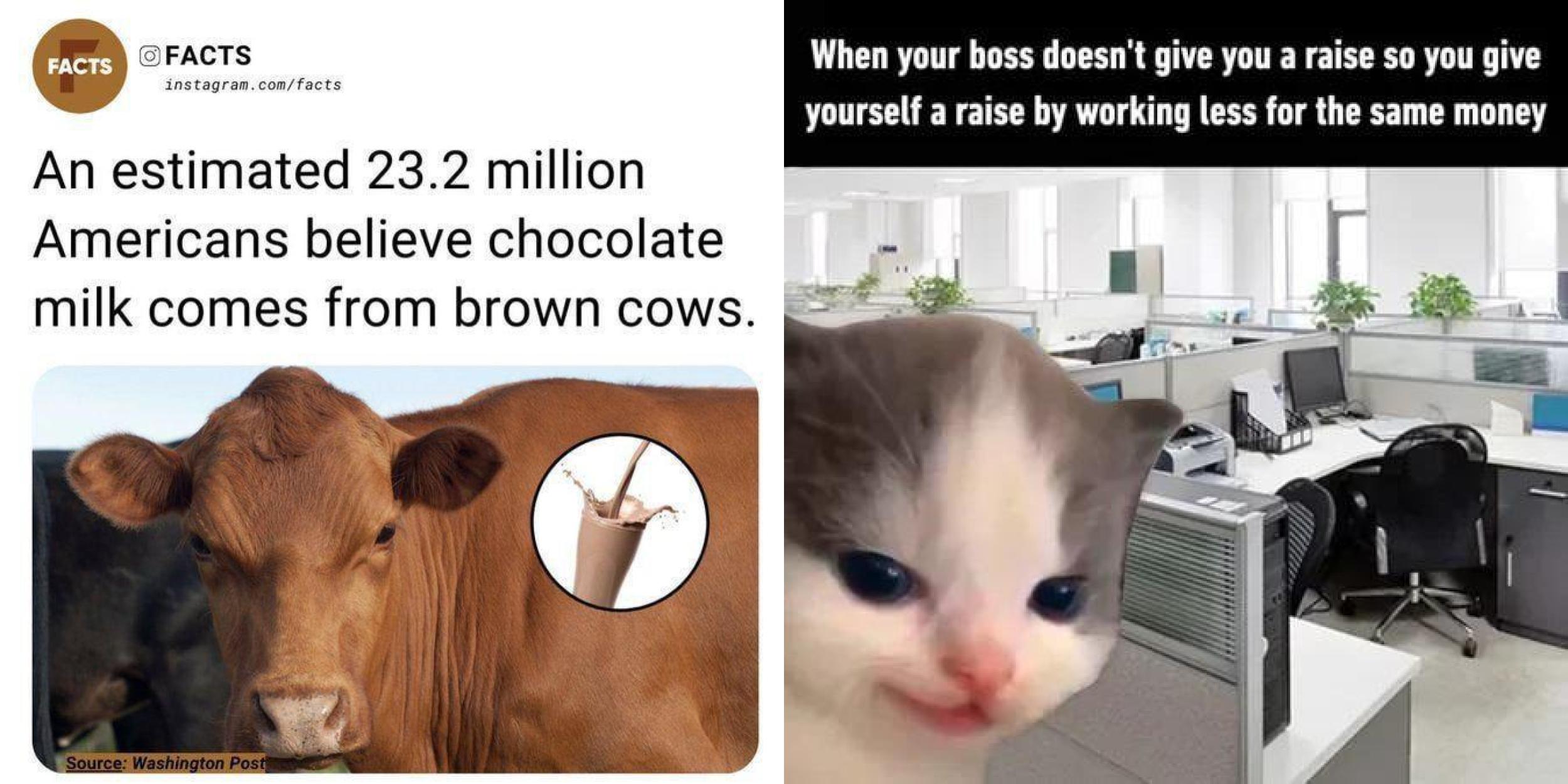 25 Depressingly Funny Memes Getting A Little Too Real | Know Your Meme