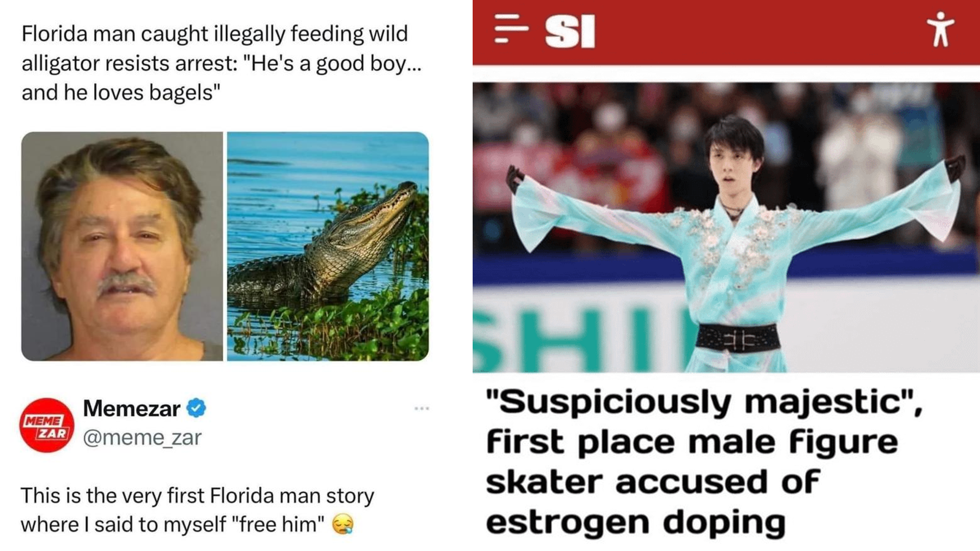 25 Novel Sentences That Raise Questions About The World We Live In