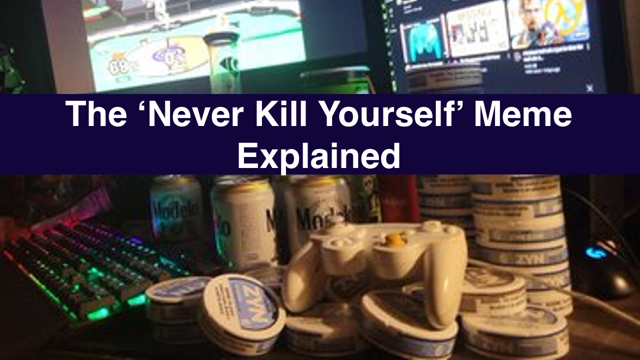 never kill yourself meme explained