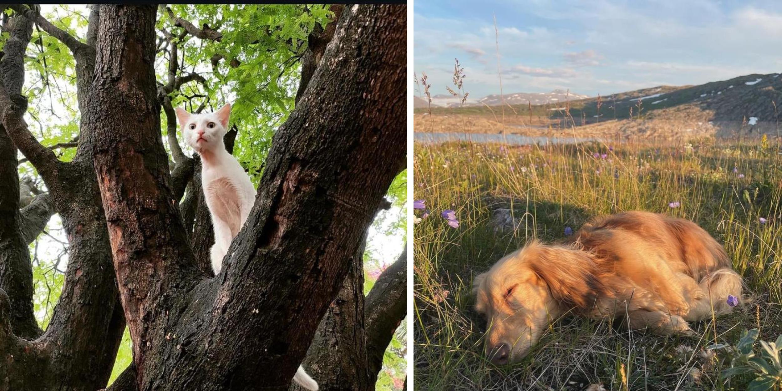 27 Doses Of Eye Bleach Everyone Will Love Know Your Meme