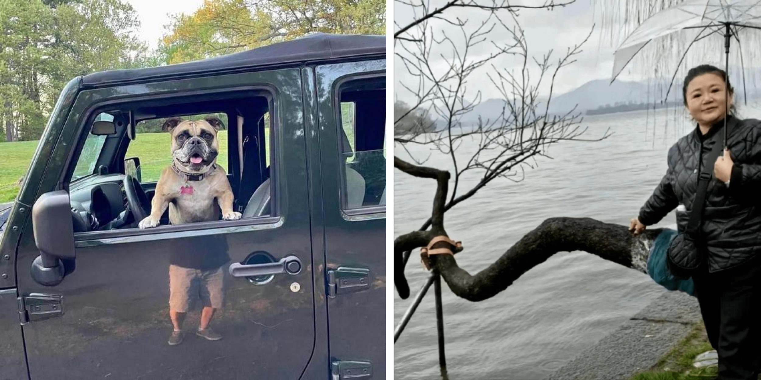 27 Optical Illusions Spotted In Real Life | Know Your Meme
