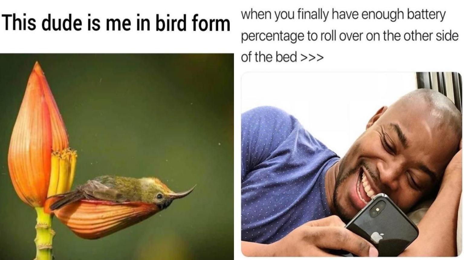 25 Memes You'll Relate To On A Whole New Level | Know Your Meme