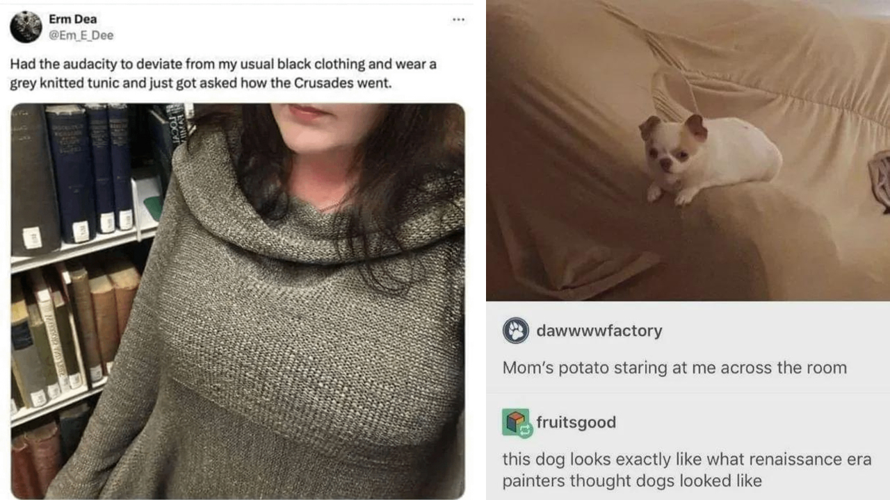 Two images from Rare Insults.