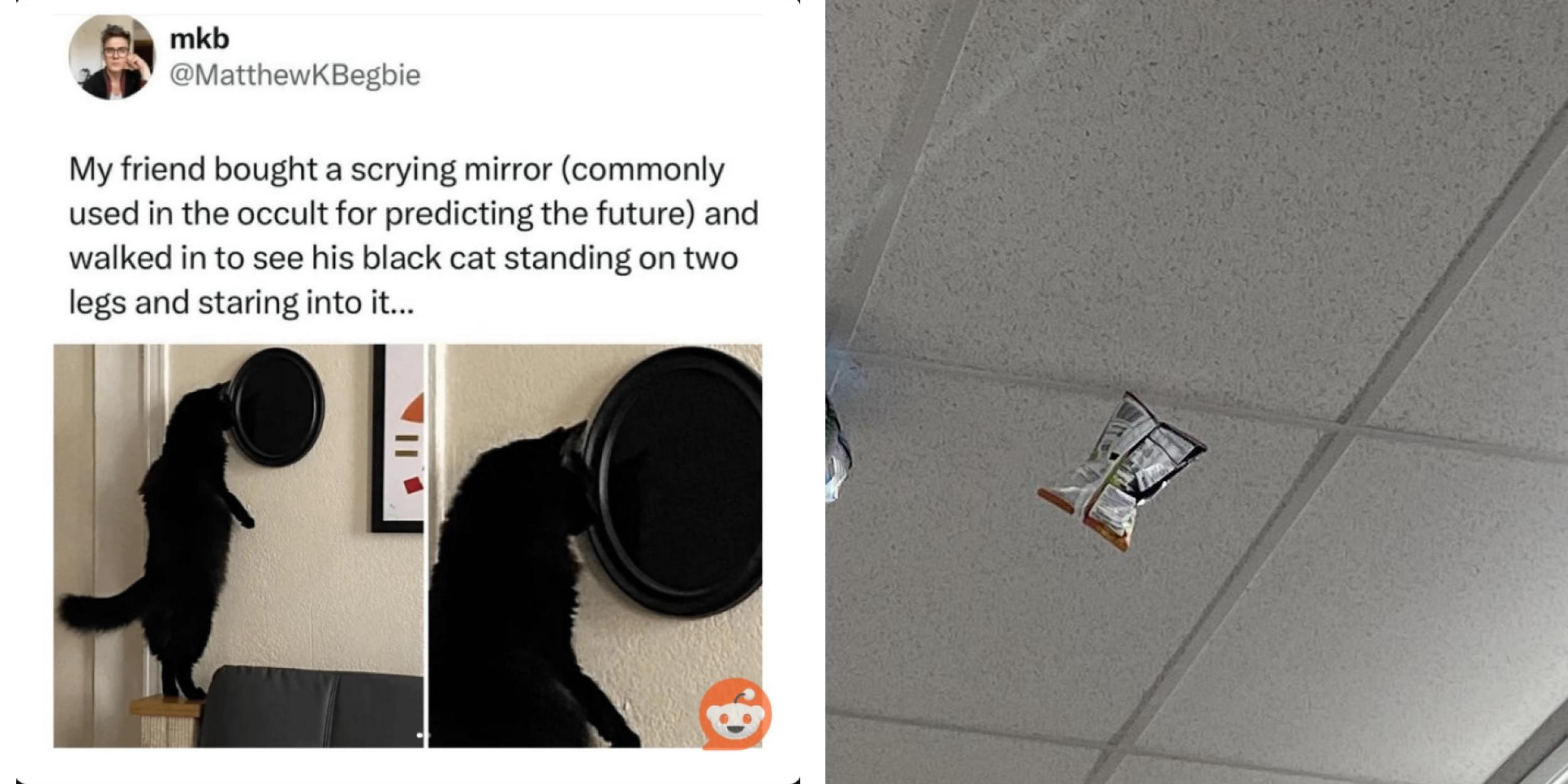 24 Curious Images That Are Just Plain Odd | Know Your Meme