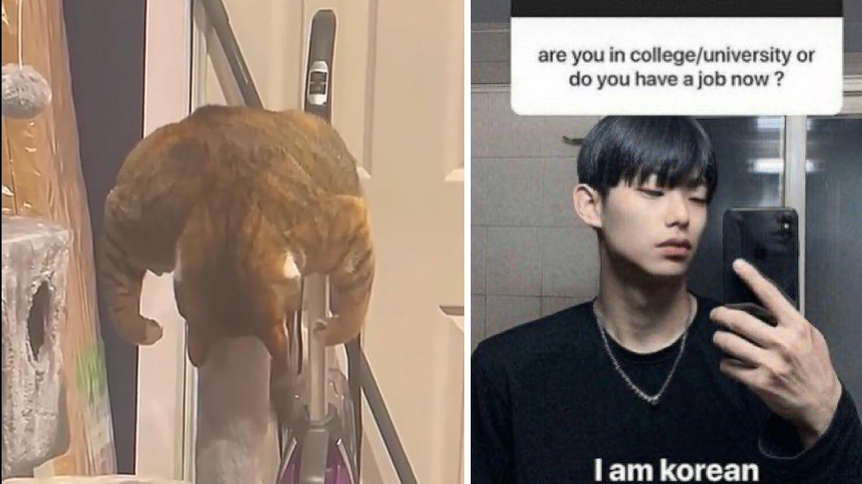 19 Unintentionally Hilarious Posts From Across The Web | Know Your Meme