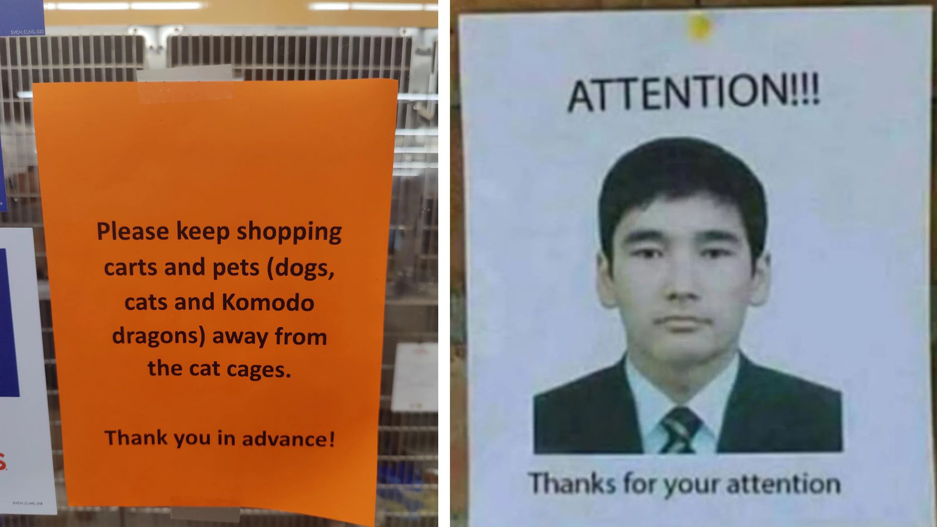 26 Funny And Clever Signs That Will Brighten Your Mood And Day | Know ...