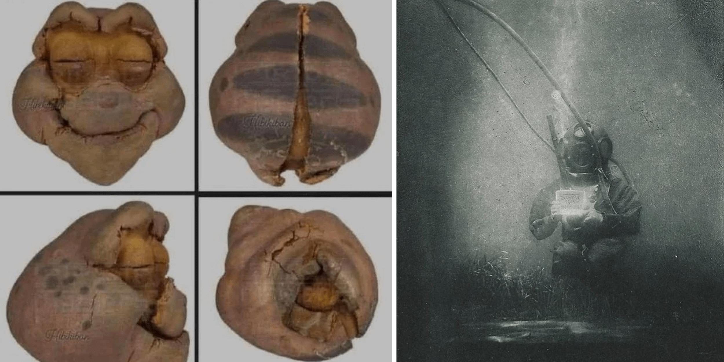 25 Oddly Terrifying Photos Proving Horror Is Everywhere Around Us ...