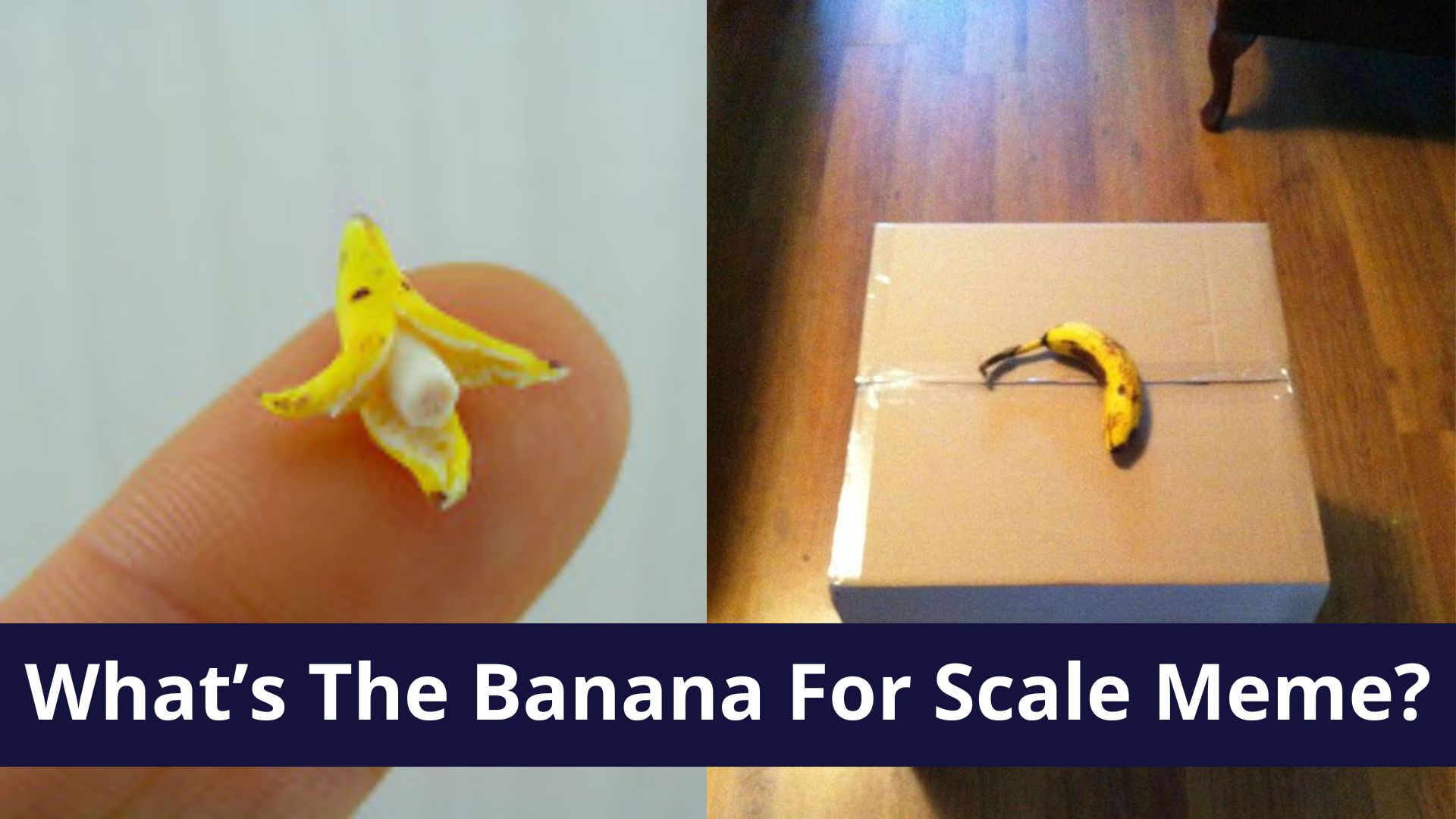 What Is The 'Banana For Scale' Meme? The Origin And Meaning Of The ...
