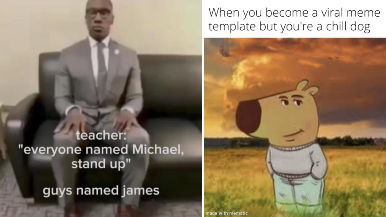 26 Anti-Memes For People With Weird Senses Of Humor | Know Your Meme