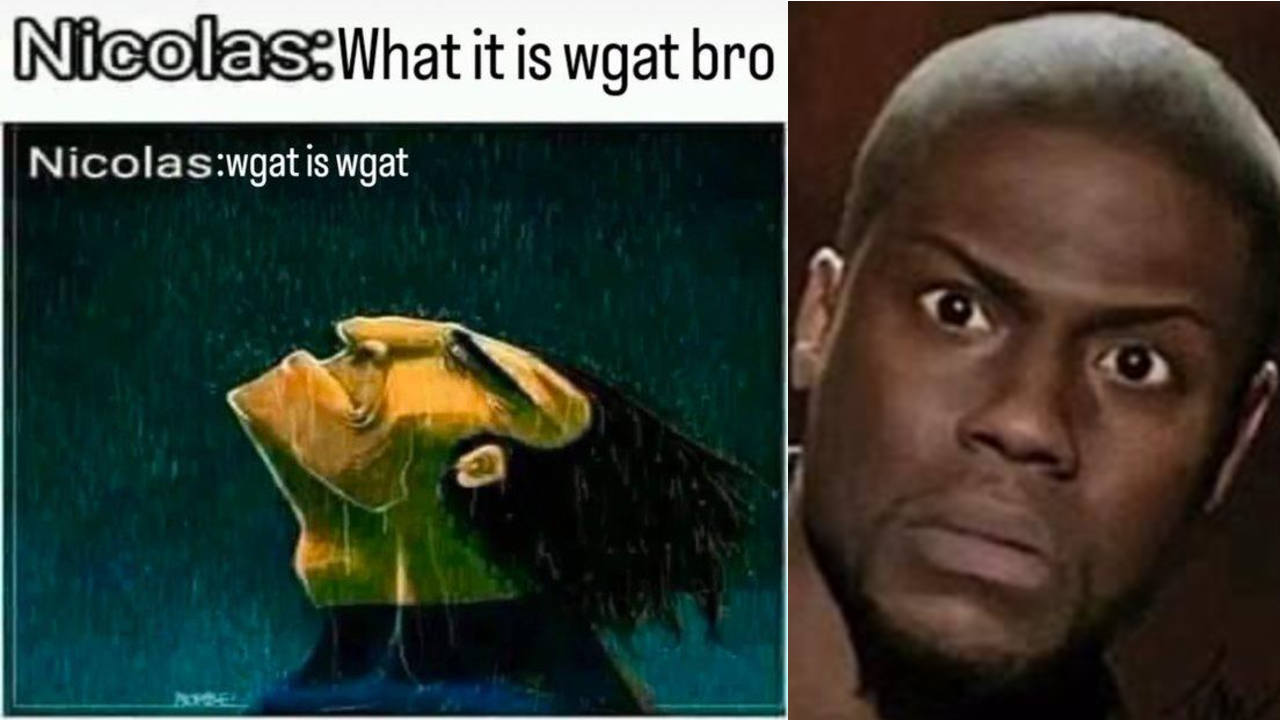 Wgat It Is meme explained.