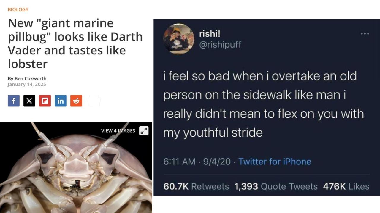 25 Oddly Specific Sentences That Made A Lasting Impression | Know Your Meme