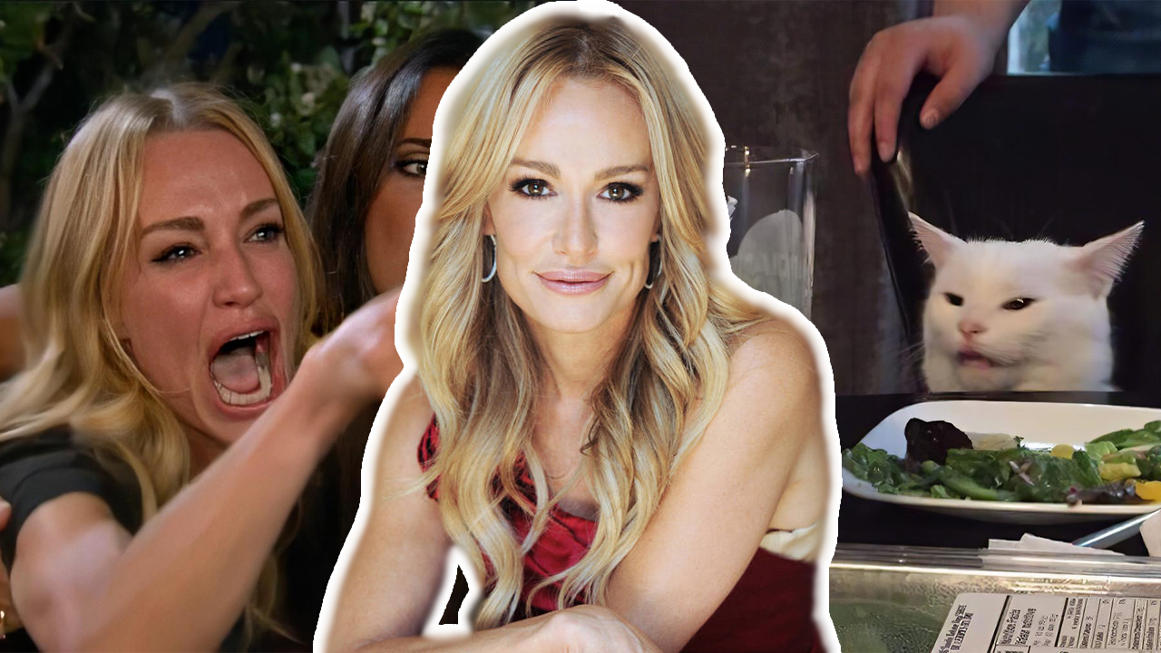  Woman Yelling At Cat Meme And Real Housewives Star Taylor Armstrong 