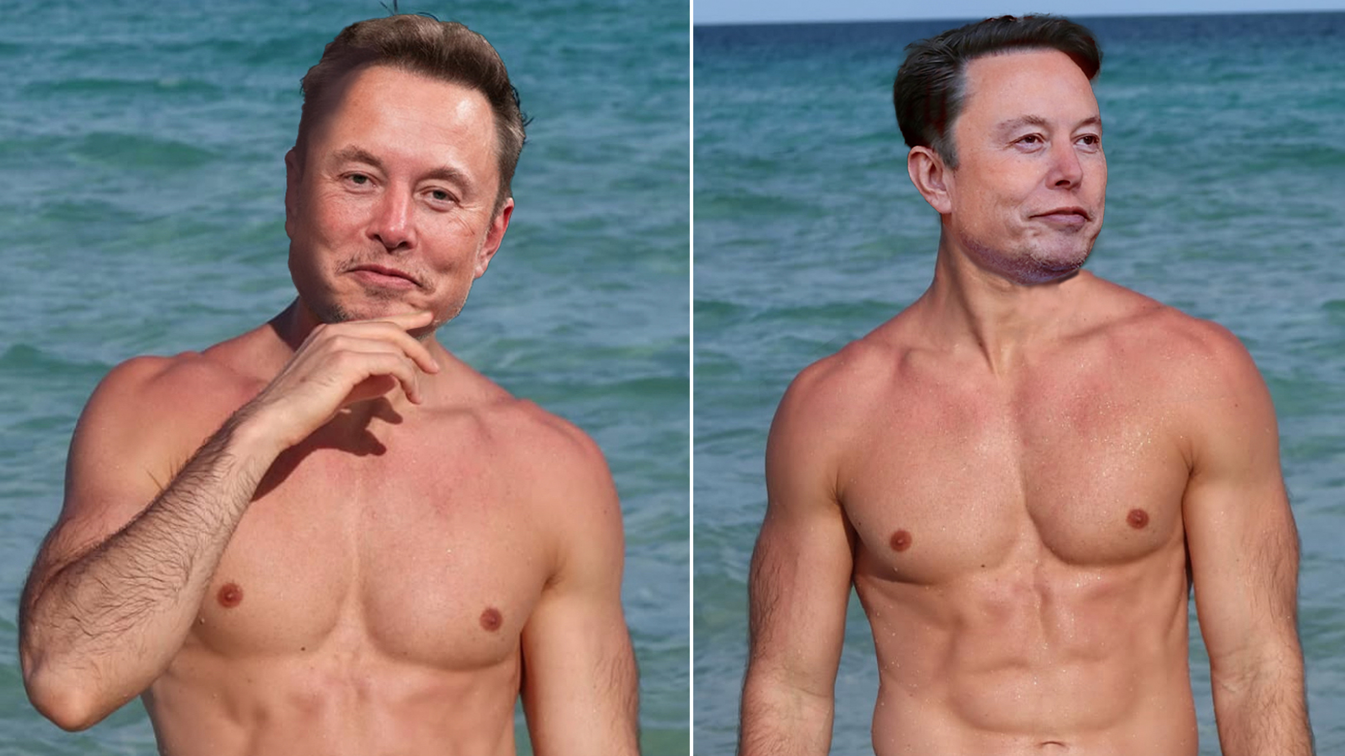 Elon Musk new beach photos explained.