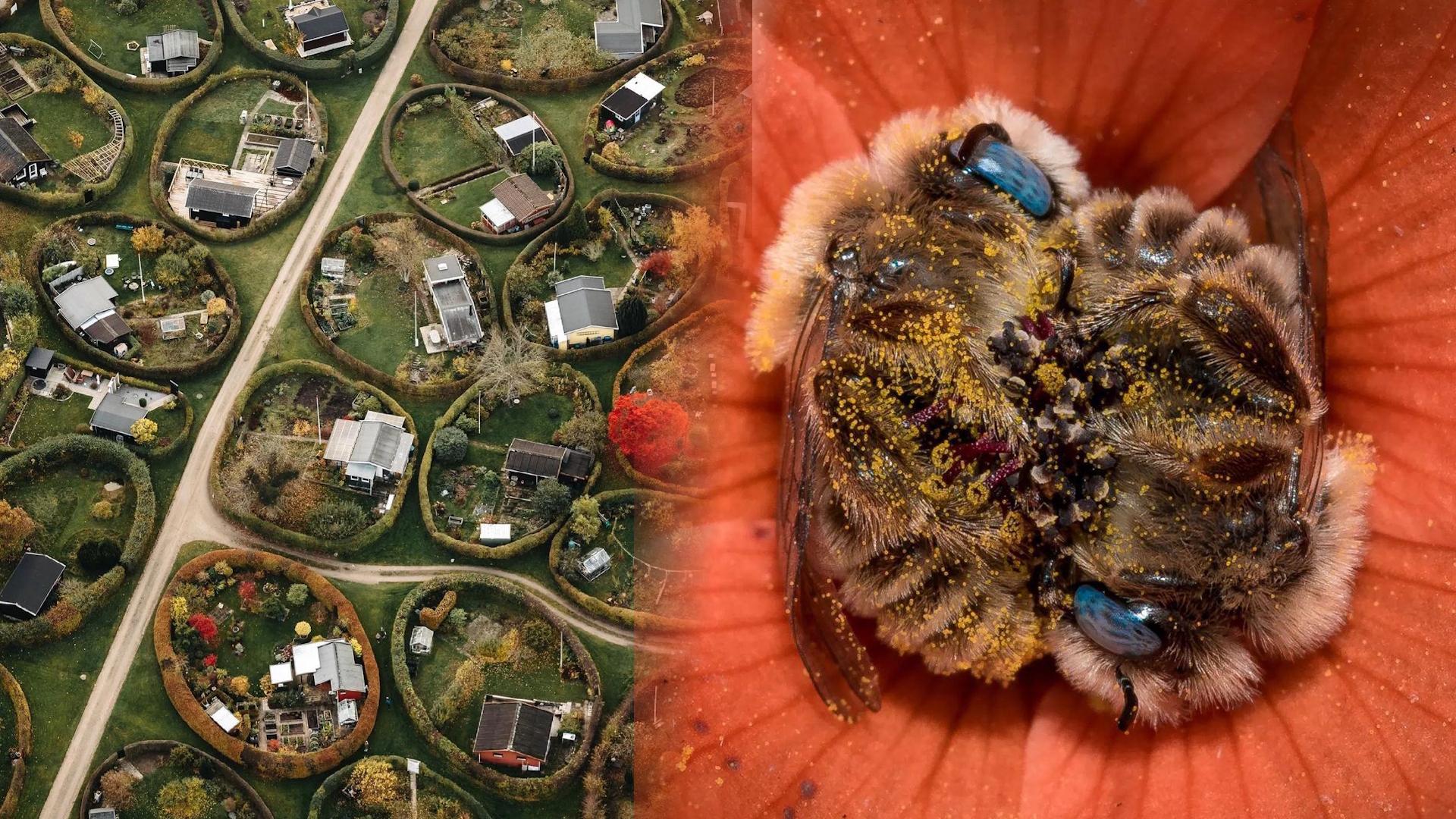 25 Images That People Found Too Amazing To Keep From The Others