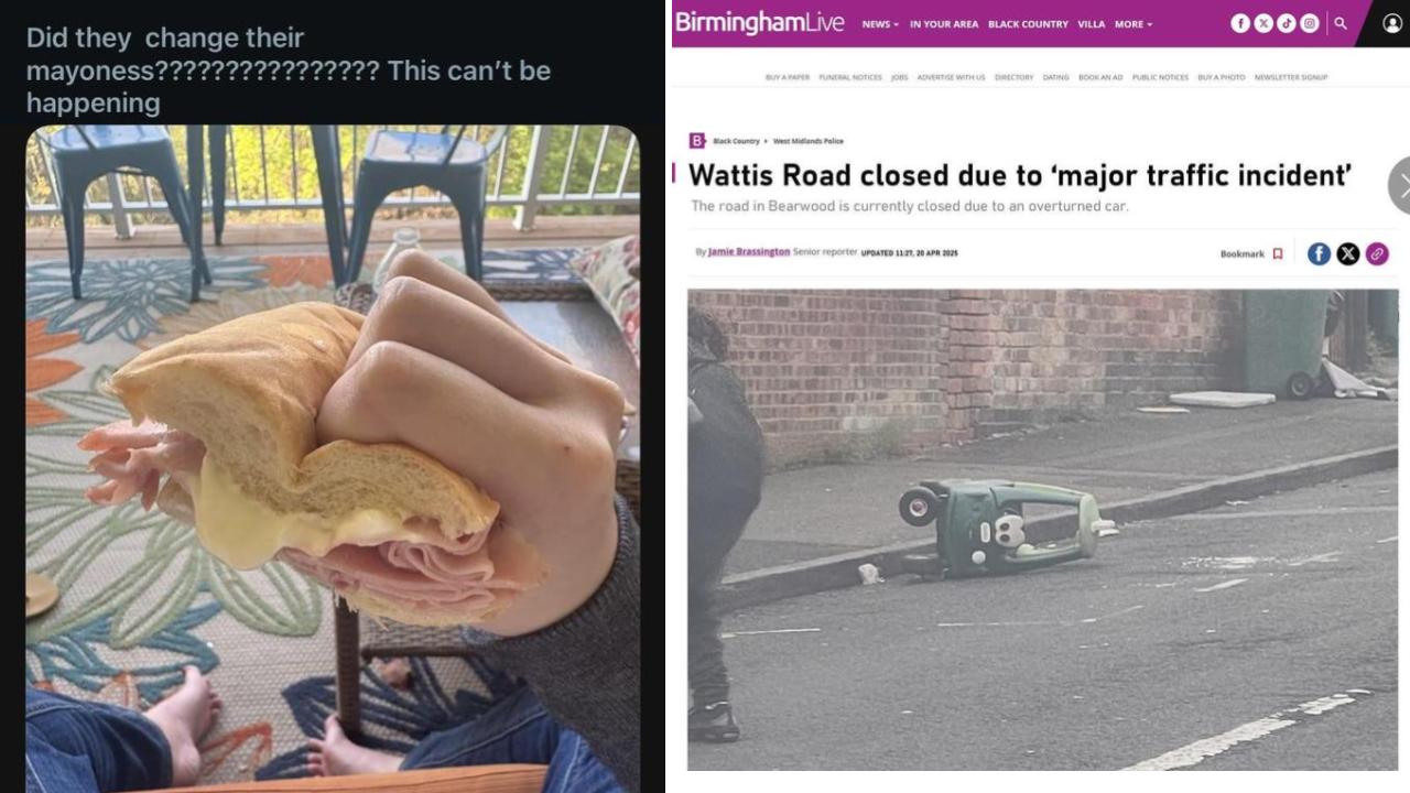 26 Simply Ridiculous Memes For When People Need Some Dumb Humor | Know ...
