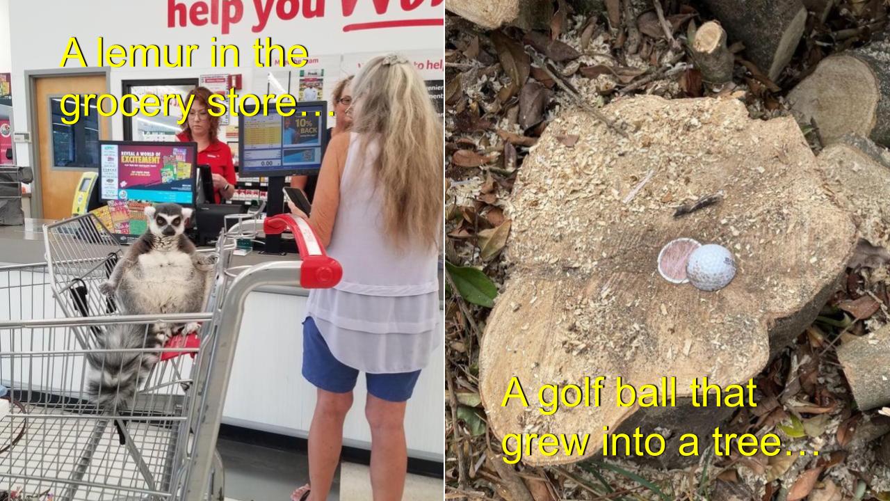 Two mildly interesting images.