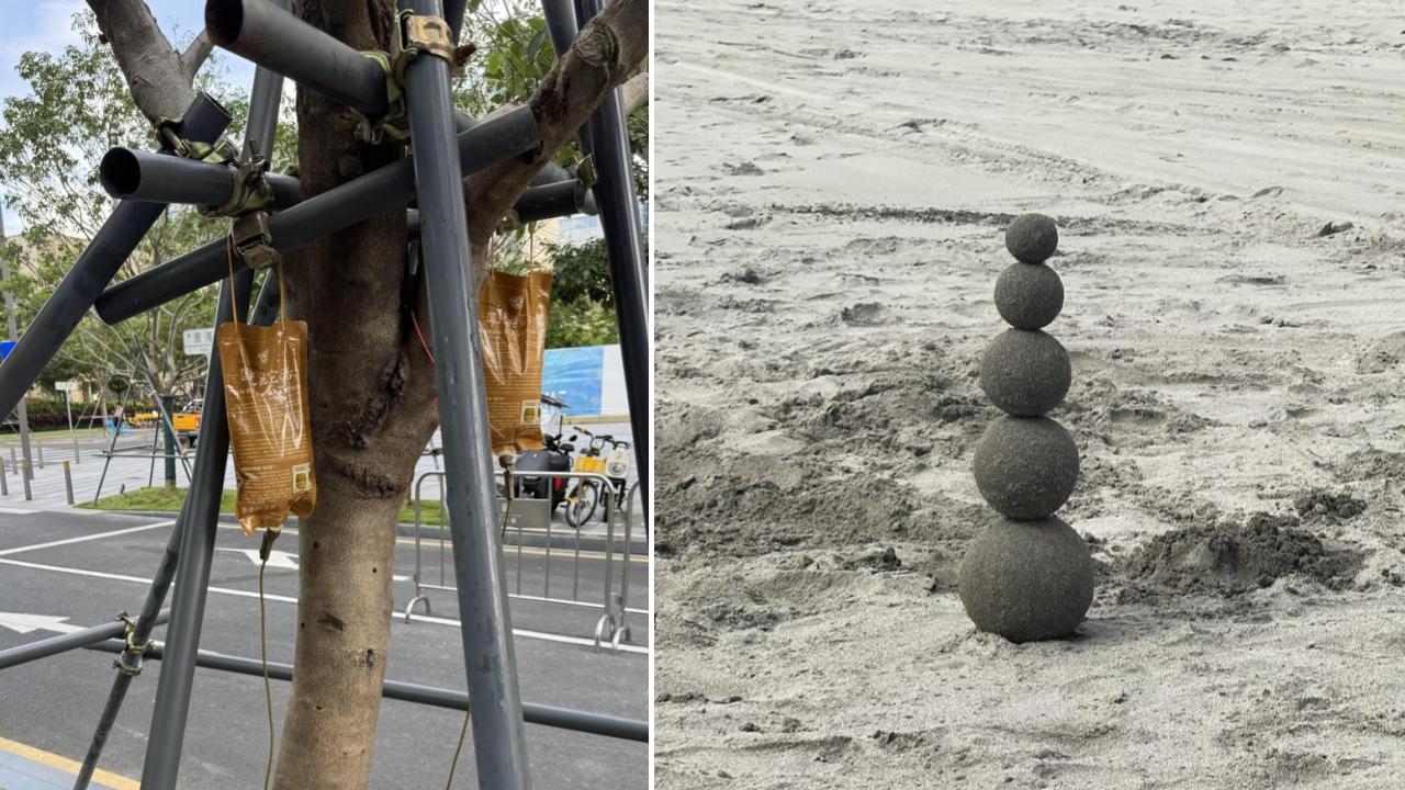 Two images.