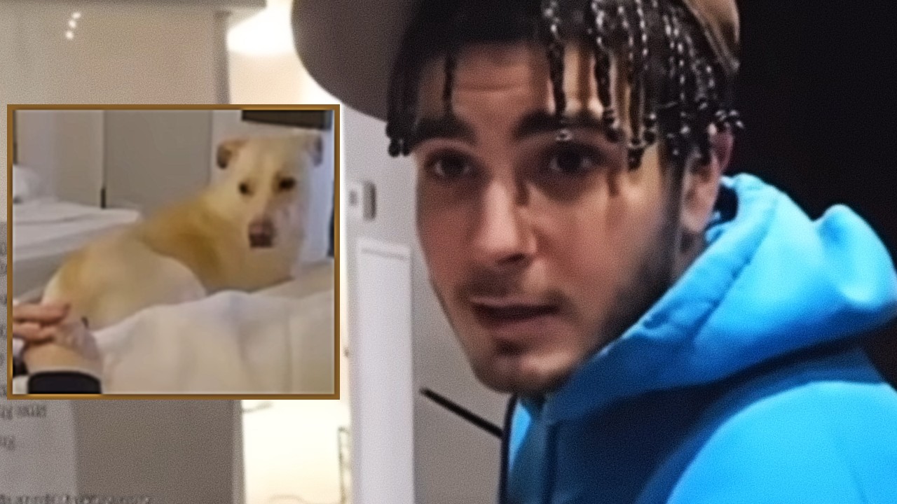 Who Is Kick Streamer 'LilDealy?' The Viral 'Dog Abuse' Allegations Against The Toronto Streamer Explained