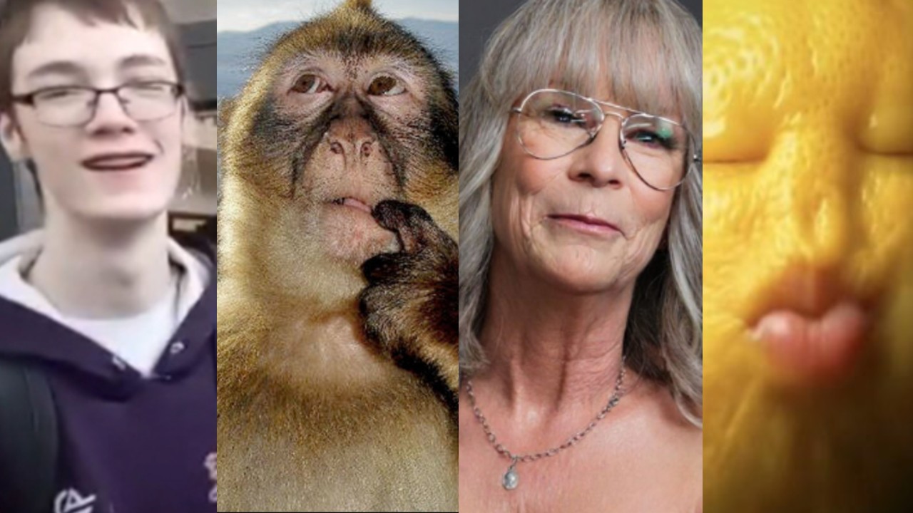 Weekly Meme Roundup depicting Thinking Monkey, Jamie Lee Curtis, AI Fruits Eating Themselves and Adrian Eeffoc Brainrot memes.