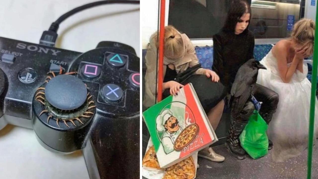25 Truly Cursed Images We Can't Explain | Know Your Meme