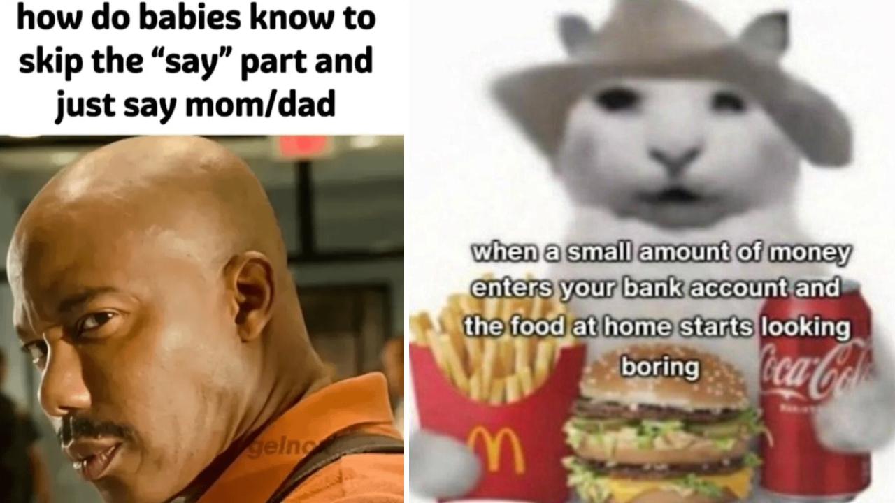 30 Simple Memes Anyone Can Enjoy Today Know Your Meme