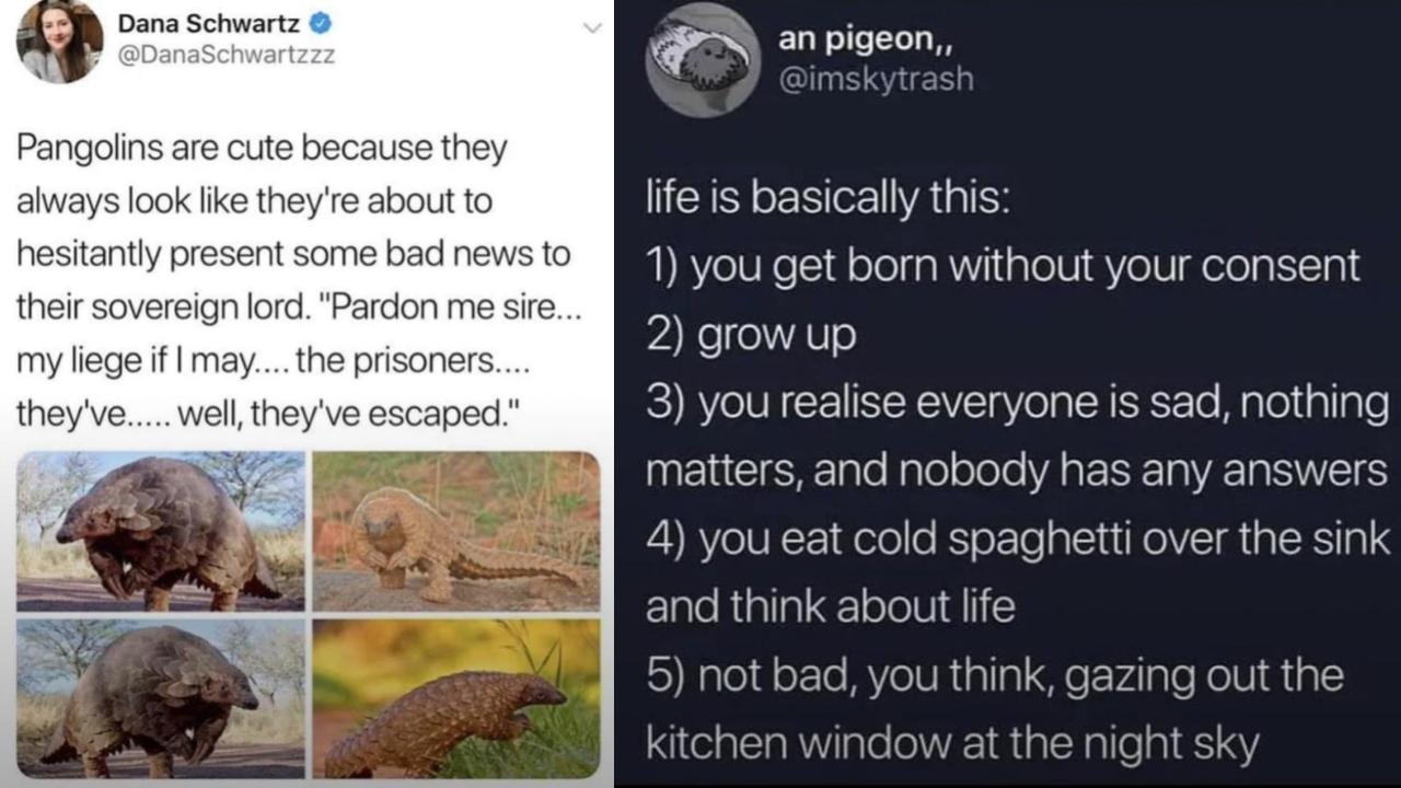 25 Comments That Are Oddly Specific | Know Your Meme