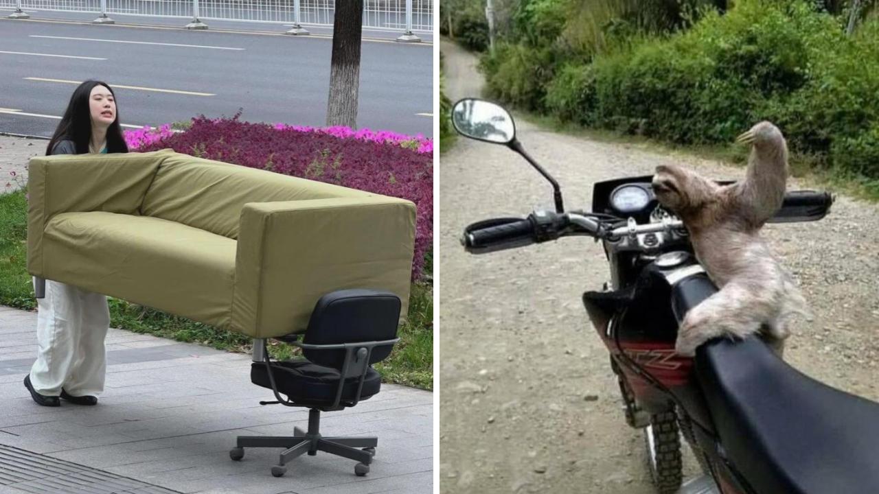 25 Uncomfortable Images With No Real Explanation | Know Your Meme