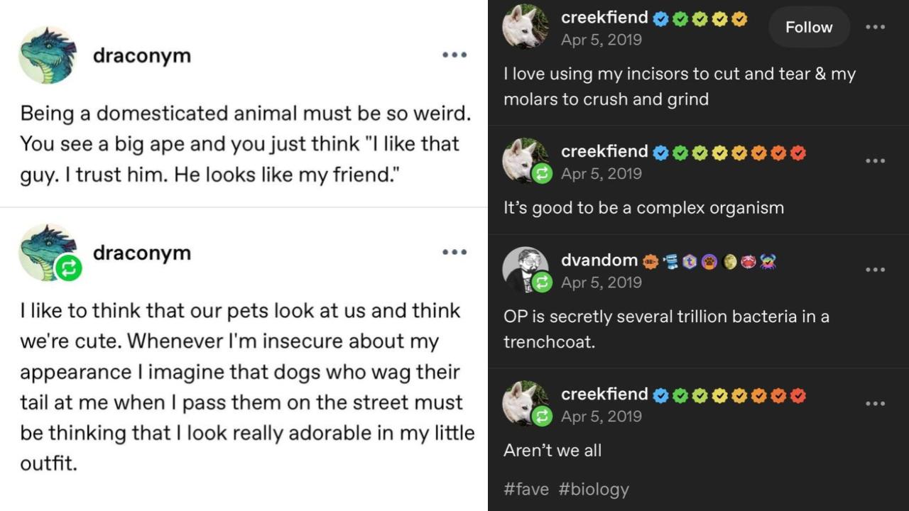 25 Recent Tumblr Posts To Enjoy Something New | Know Your Meme