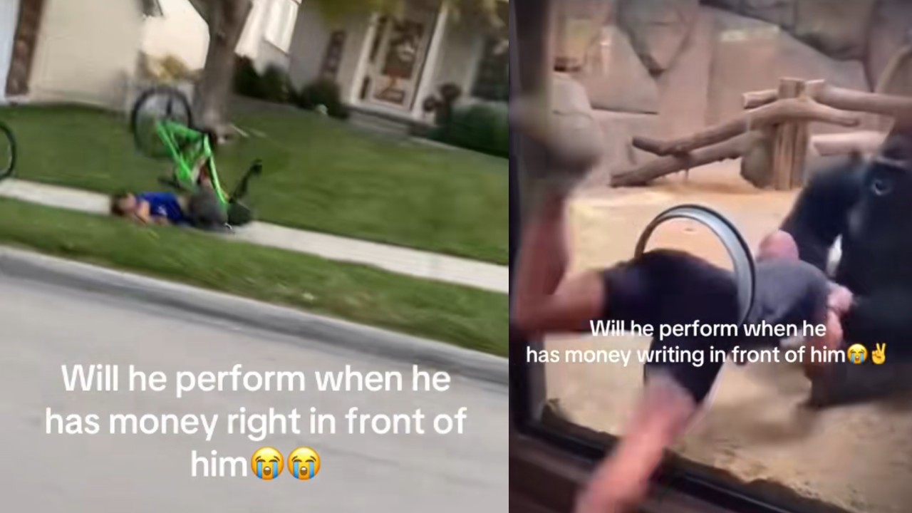 What Is The 'Will He Perform When He Has Money Right In Front Of Him' Meme? The Viral Fail Audio And Trend Explained