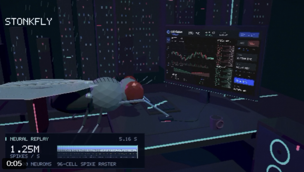 What's With All These 'Fly Brain Simulations'? The Viral Jokes And ...