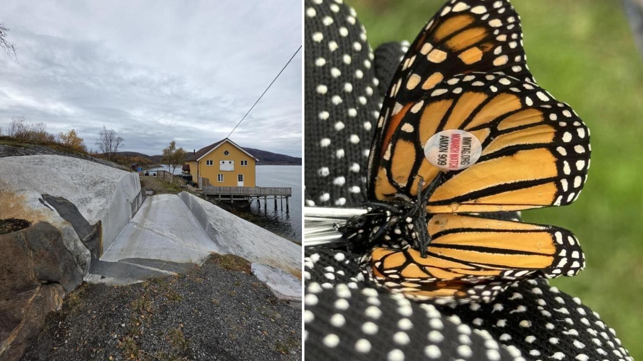 25 Of Life's Mildly Interesting Moments Caught On Camera | Know Your Meme