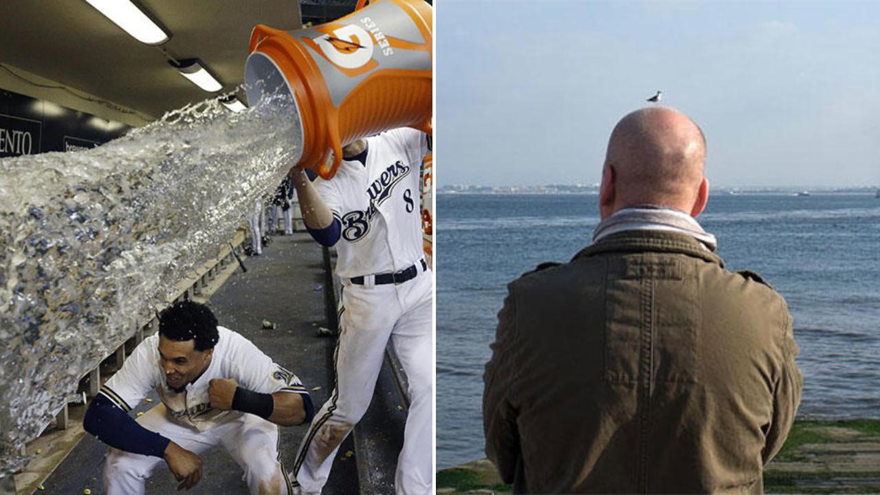 25 Stunningly Perfect Photos Captured At The Right Time | Know Your Meme
