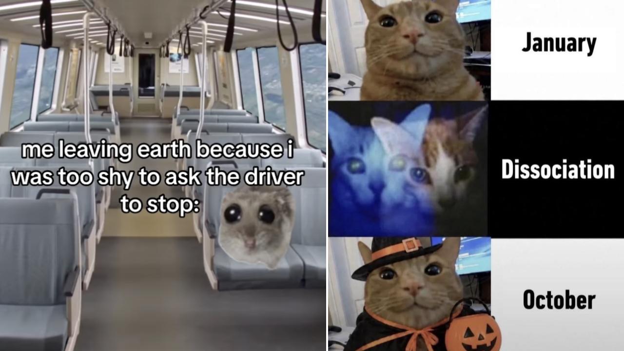 25 Utterly Relatable Memes We Understand Deeply | Know Your Meme